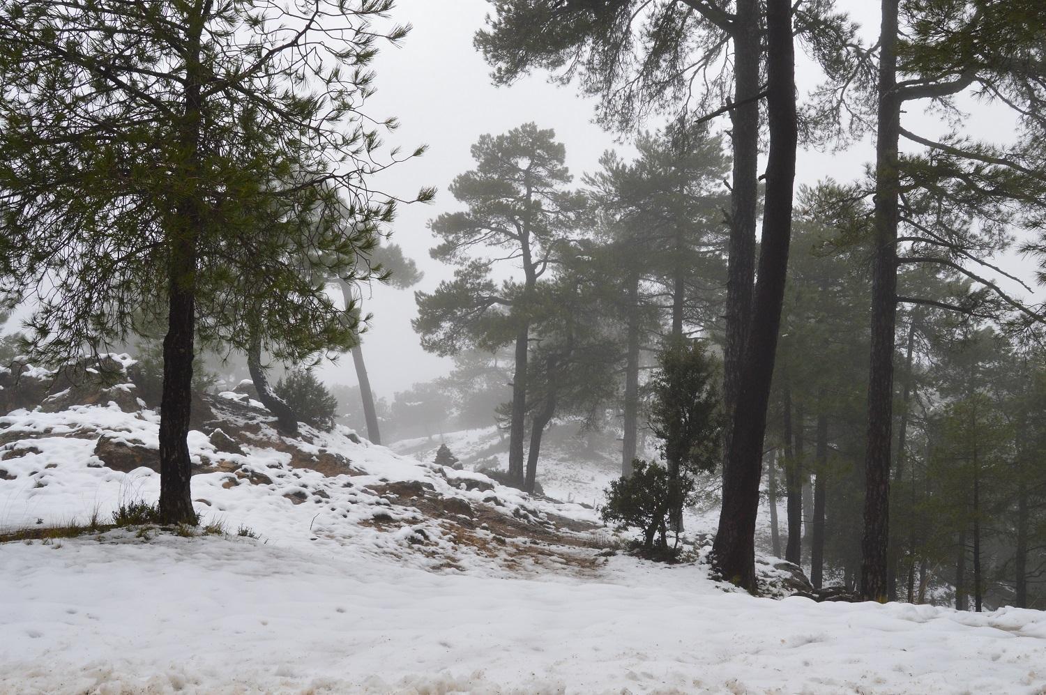 Vivienda Rural El Penon De Los Primillas La Iruela Dış mekan fotoğraf
