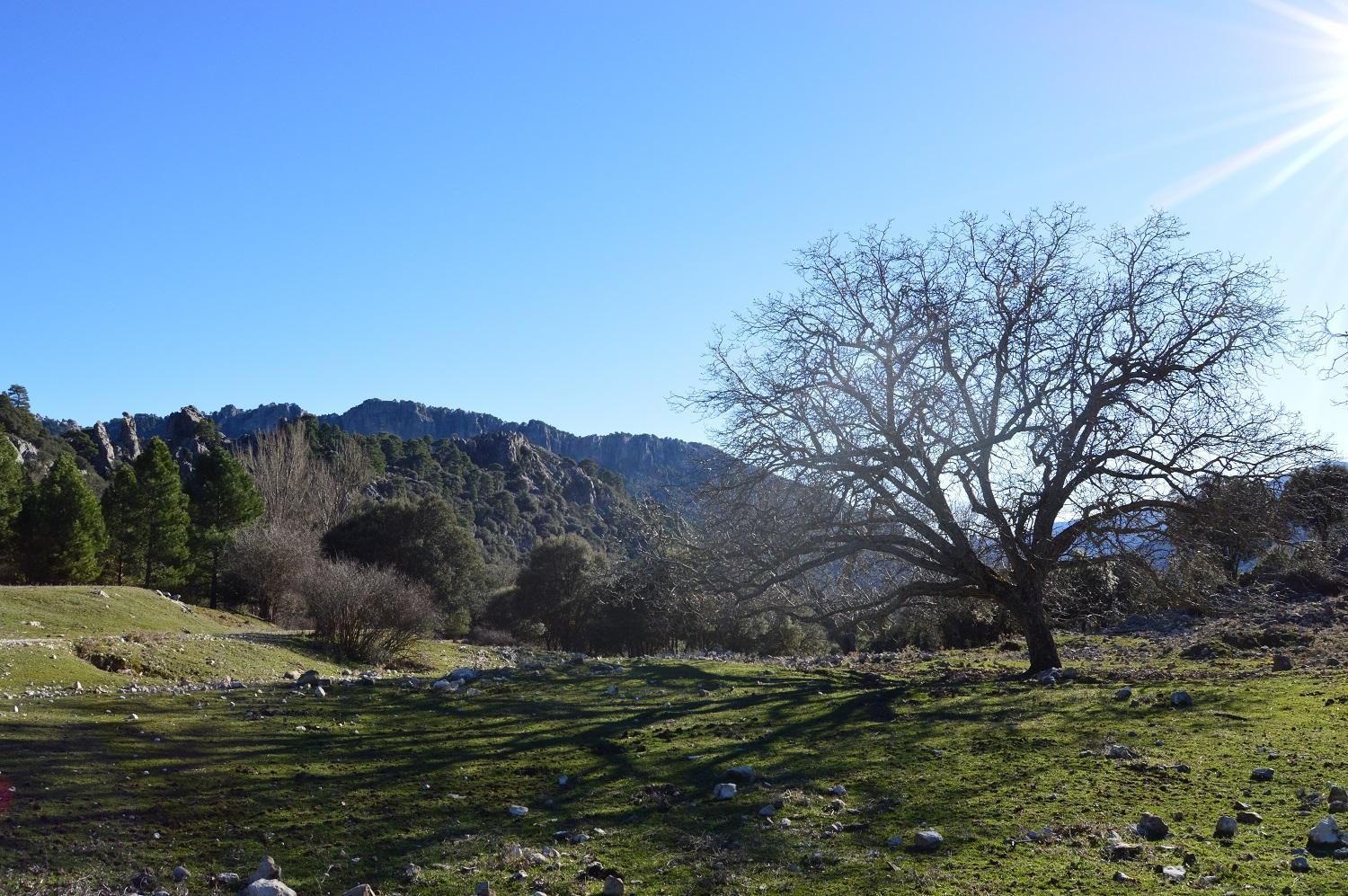 Vivienda Rural El Penon De Los Primillas La Iruela Dış mekan fotoğraf