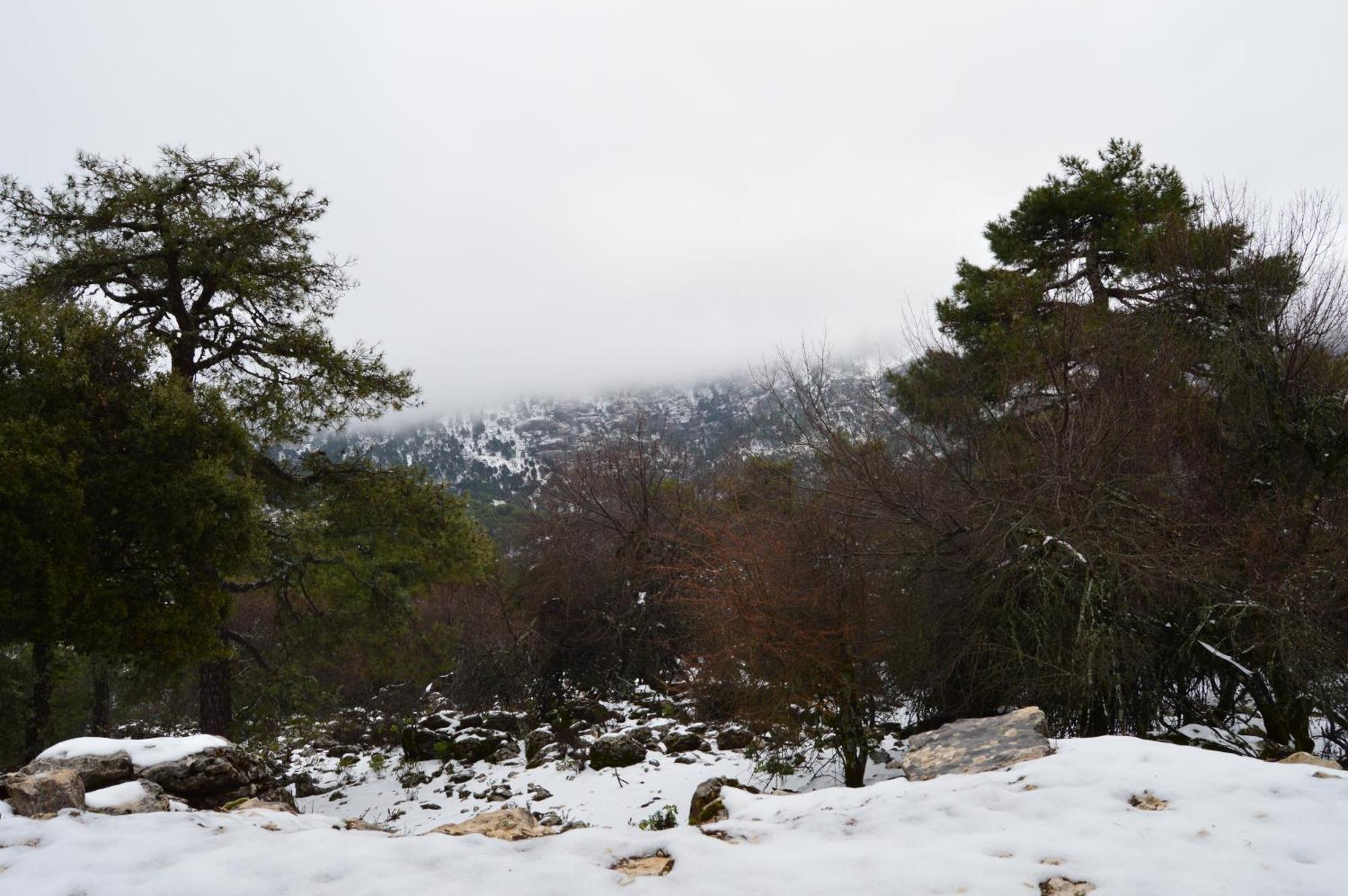 Vivienda Rural El Penon De Los Primillas La Iruela Dış mekan fotoğraf