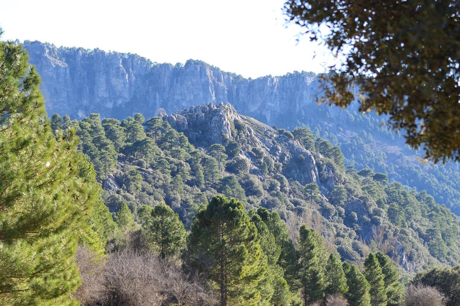 Vivienda Rural El Penon De Los Primillas La Iruela Dış mekan fotoğraf